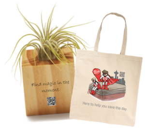 Air plants in welcome bags