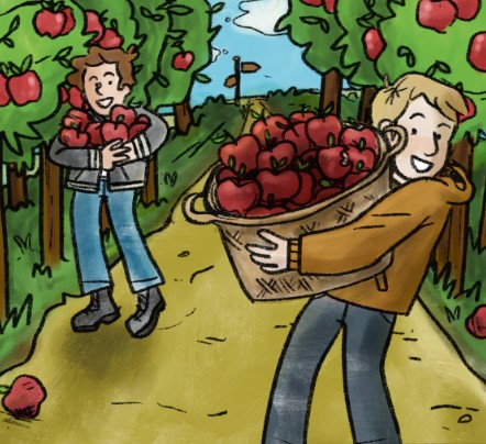 picking apples